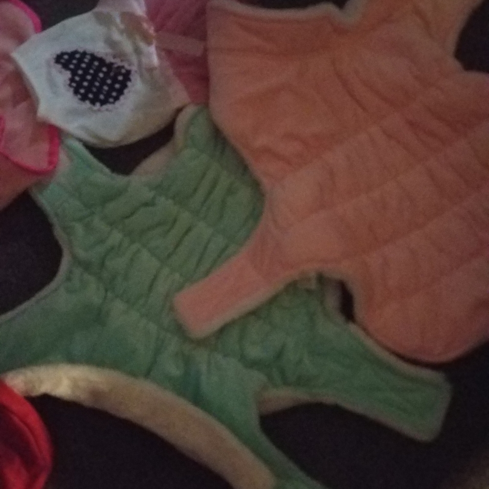Dog clothes - Picture 7 of 8